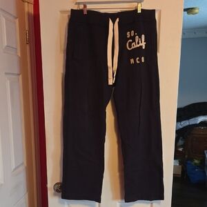 Hollister Navy Sweatpants